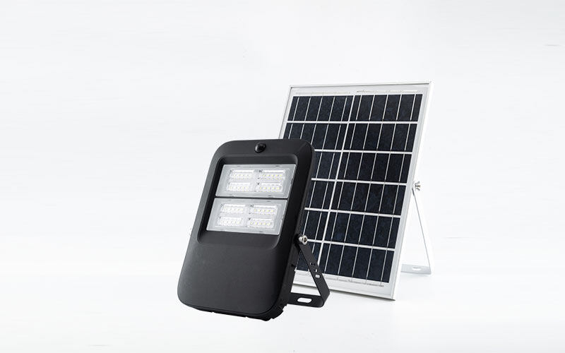 Solar flood light with remote control - STG06